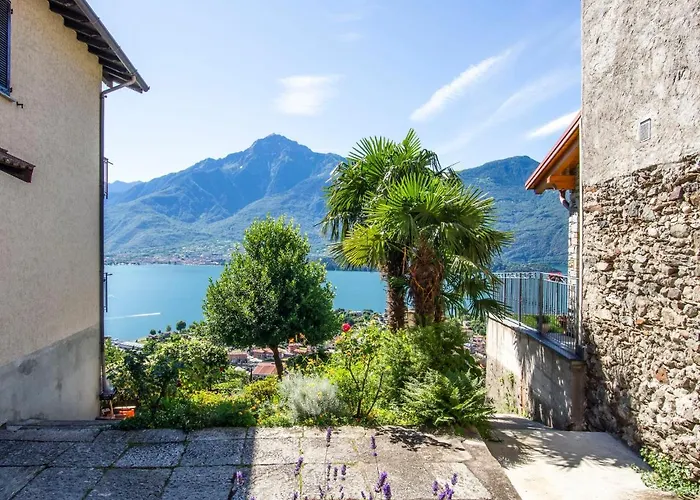 Laura - Dma320 By Interhome Appartement *